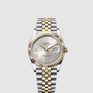 데이저스트 콤비 36 126233