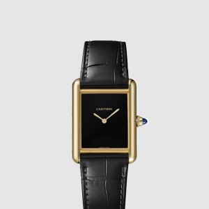 탱크 루이 34 WGTA0091