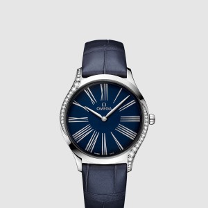 드 빌 트레저 36